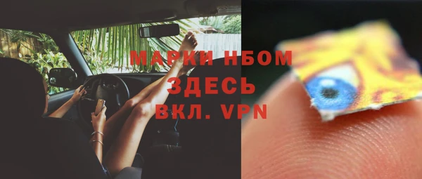 ПСИЛОЦИБИНОВЫЕ ГРИБЫ Кодинск