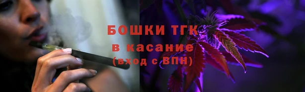 шишки Магадан