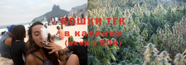 индика Майский