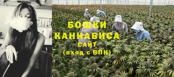 шишки Магадан