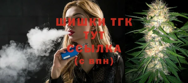индика Майский