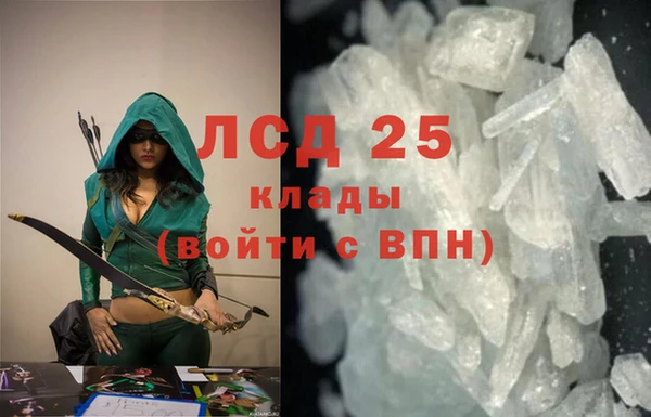 индика Майский