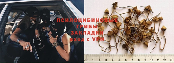 шишки Магадан