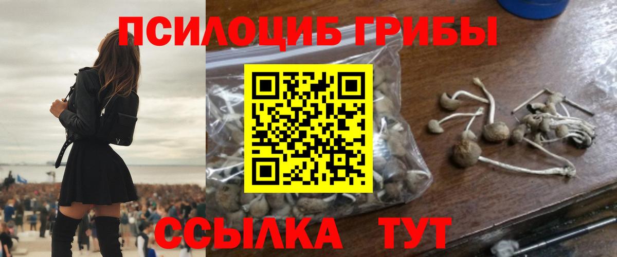 Галлюциногенные грибы прущие грибы  Псилоцибиновые грибы GOLDEN TEACHER  Муром  Вход с VPN 